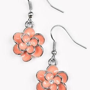 Paparazzi accessories